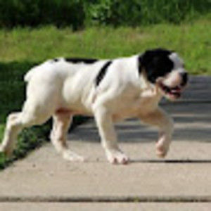 Meet your Posher, Carrie